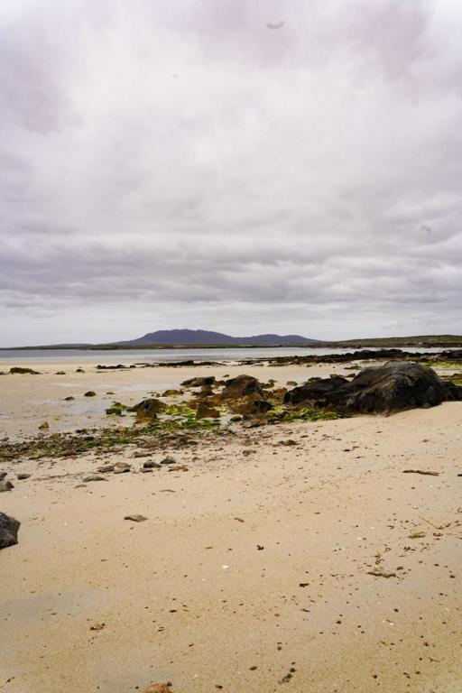 Bay Hotel 3*