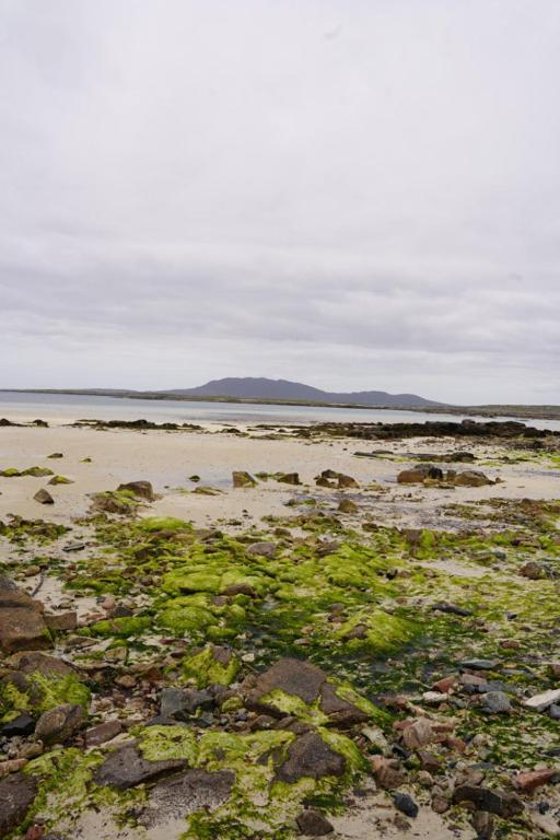 Bay Carna