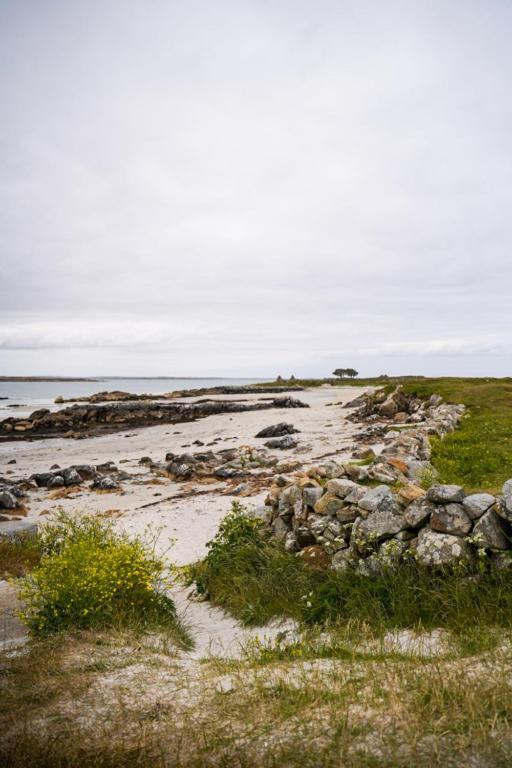 Bay