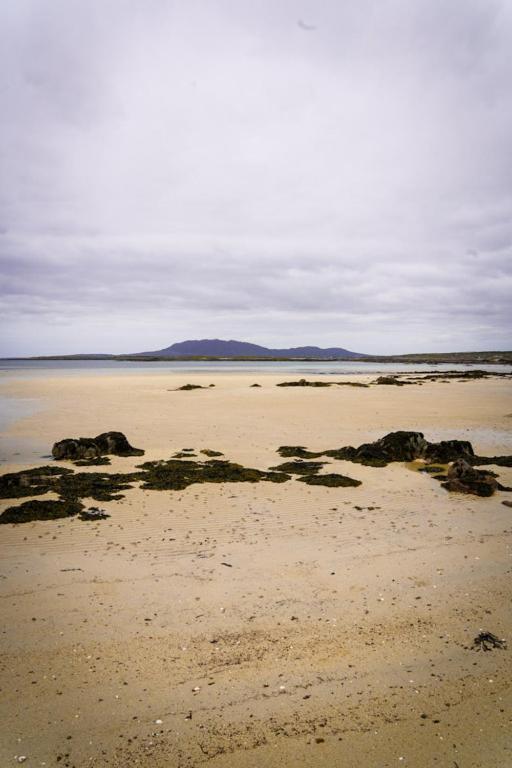 Bay Hotel