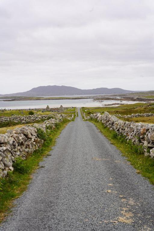 Bay