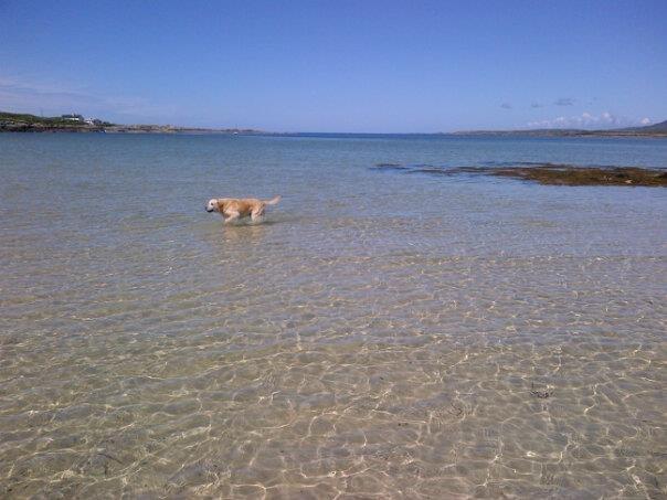 Bay Hotel Carna